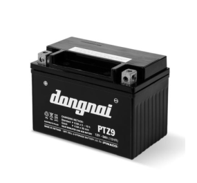 Ắc quy khô đồng nai PTZ9 (12V-9Ah)